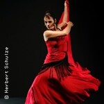 Flamenco Vivo - Flamenco