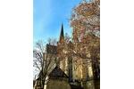 Etagenwohnung Münster Erphoviertel - 1 Zimmer, 34 m&sup2;, 750&euro; | Angebot:27584866